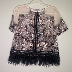 Elegant Black Lace Blouse